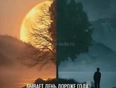 Сбор мандаринов!
