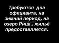 Требуется два официанта 