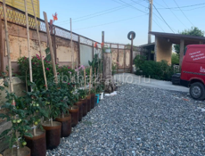 Дом в отличном месте продажа срочное ‼️