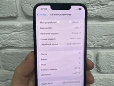 iPhone 13 128Gb 🔋87% 