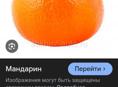 Пойду на сбор мандарин грузчиком