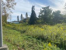 Продаю срочно землю в Гудаутах 15 сотки за 1.300