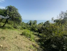 Рядом с пещерой! 