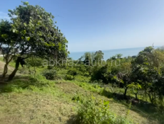 Рядом с пещерой! 