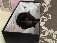 В добрые руки