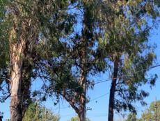 Кындыг у Источника🔥🔥🚨