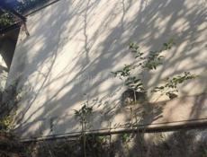 Продаю срочно дом за 1050 или обмен на машину