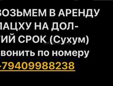 Сниму пацху