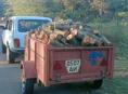 Продаю дрова Альха с доставкой 6000 . Т.