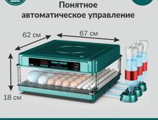 инкубатор