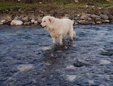 Участок вдоль трассы 