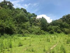 КАШТАК 11 соток