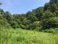 КАШТАК 11 соток