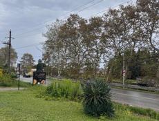 Сдам в аренду