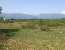 УЧАСТОК 1 ГЕКТАР ГУДАУТА  С ВЕТХИМ СТРОЕНИЕМ