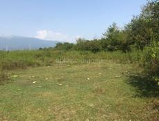 УЧАСТОК 1 ГЕКТАР ГУДАУТА  С ВЕТХИМ СТРОЕНИЕМ