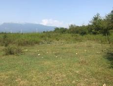 УЧАСТОК 1 ГЕКТАР ГУДАУТА  С ВЕТХИМ СТРОЕНИЕМ