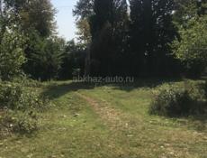 УЧАСТОК 1 ГЕКТАР ГУДАУТА  С ВЕТХИМ СТРОЕНИЕМ