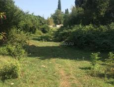 УЧАСТОК 1 ГЕКТАР ГУДАУТА  С ВЕТХИМ СТРОЕНИЕМ