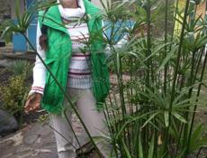 Пальмы на продажу зелёные круглогодично.