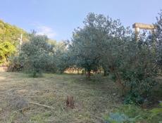 Продаю участок 