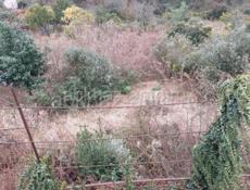 Продаю срочно