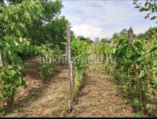 Продаётся дом.