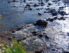 Продается Земельный участок Сухум