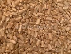 Местная кукуруза