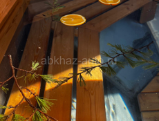 Банный чан из Сибири.