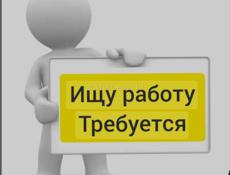 Ищу работу 