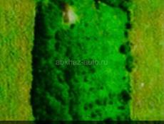 25 соток земли с домиком 