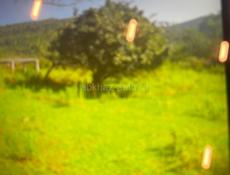 Земельный участок