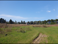 Алахадзе 6 соток