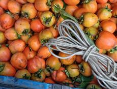 Хурма  бычье сердце 