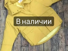 Женская одежда