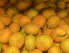 Мандарины