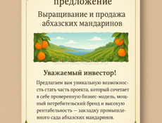 Инвестиционное предложение: Выращивание и продажа абхазских мандаринов .