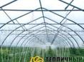 Продается каркасная теплица 