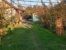 Хороший участок по ул. Куруа с фруктовым садом