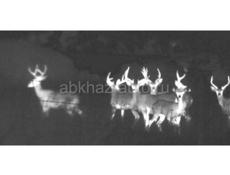 Тепловизор Akron ALFA ll ct 25