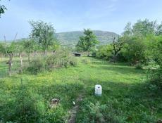 Чанба 50 соток 6.5 мил.