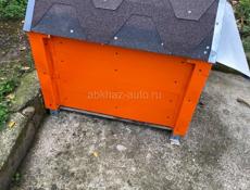 Собачья будка