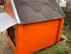 Собачья будка