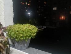 Двухкомнатная с ремонтом и мебелью