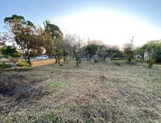 Участок на Бзыби