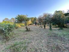 Участок на Бзыби