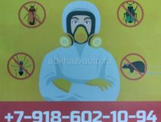 Уничтожение мраморных клопов, термитов