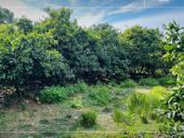 УЧАСТОК ПСАХАРА