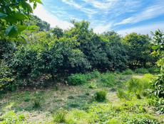 УЧАСТОК ПСАХАРА